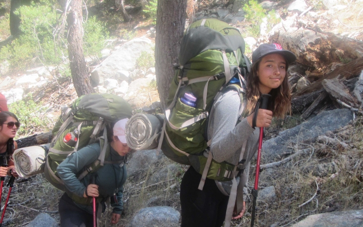three people wearing backpacks and using hiking poles make their way through a wooded landscape